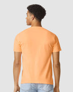 Comfort Colors 1717 - Blank T-Shirt